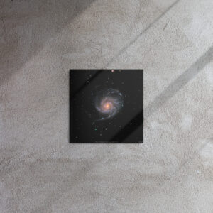 The Pinwheel Galaxy (metal print)